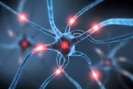 Neurosurgery