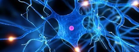 El silencio de las neuronas