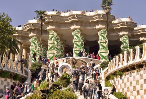 Обнаружен белок, который предотвращает старение клеток сердца