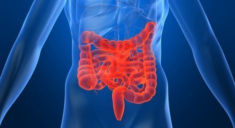 Investigación en CANCER DE COLON